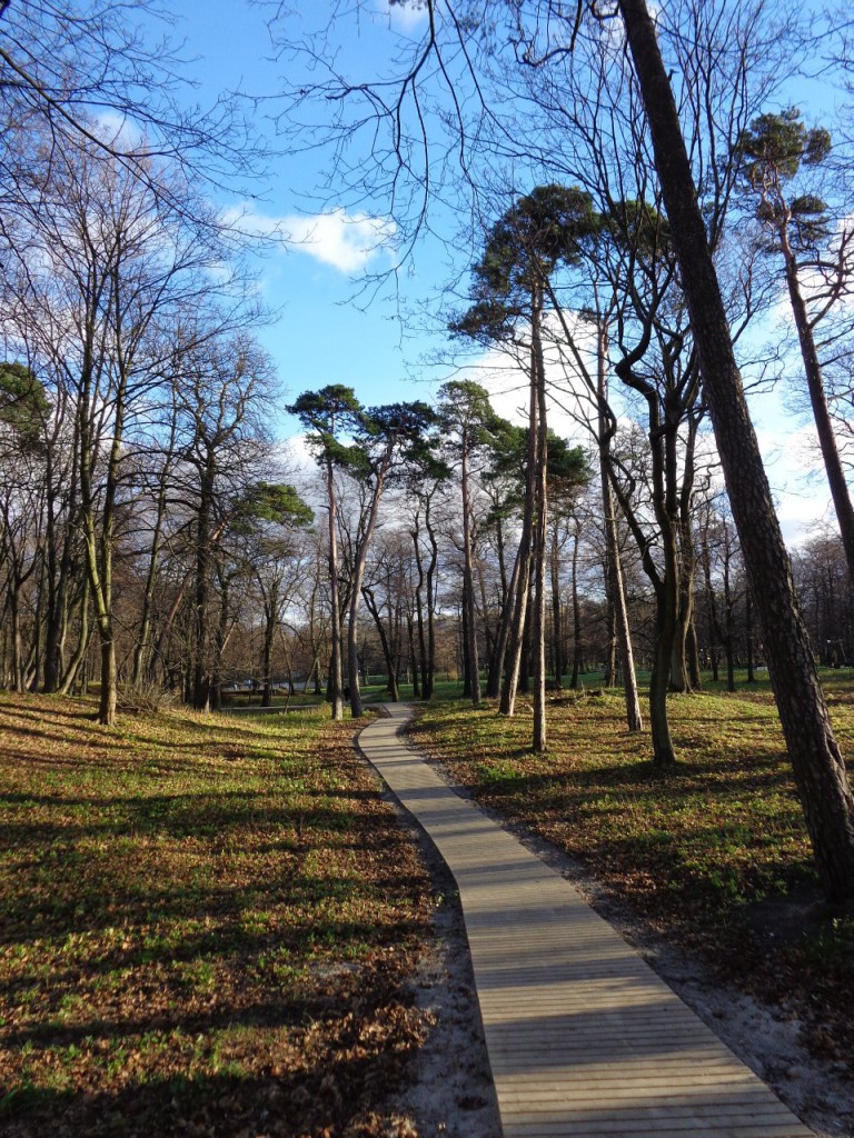 Дорожка в парке